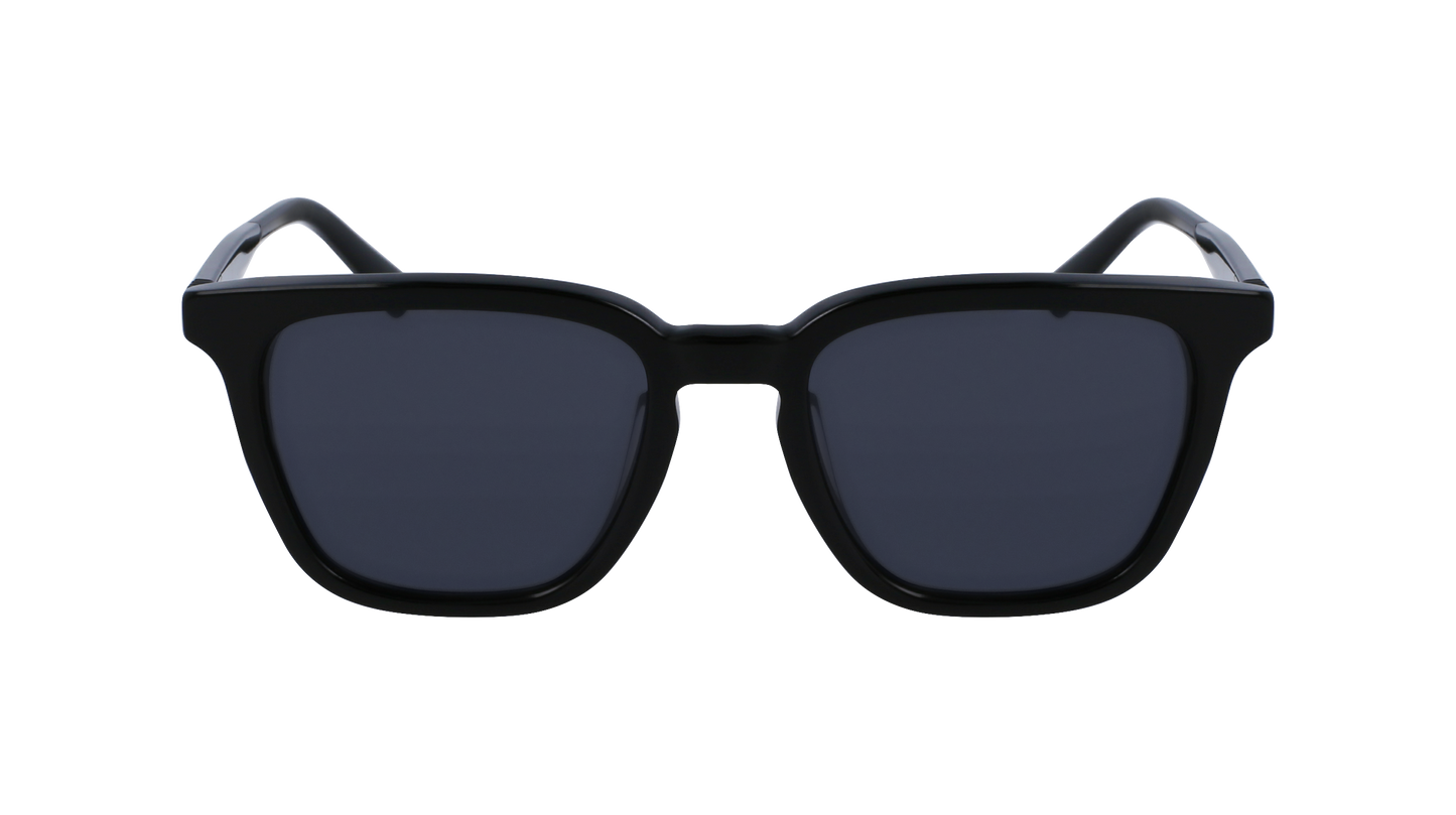 FERRAGAMO Sunglasses SF1100S 1 52