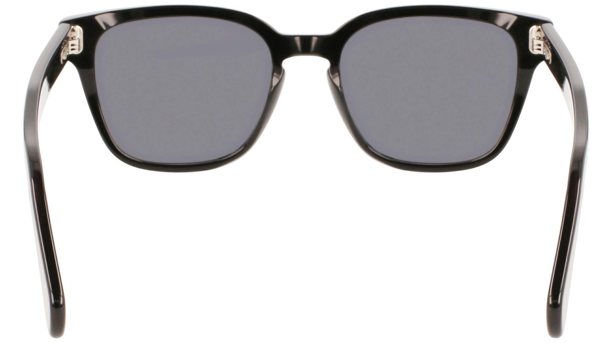 FERRAGAMO Sunglasses SF1040S 1 55