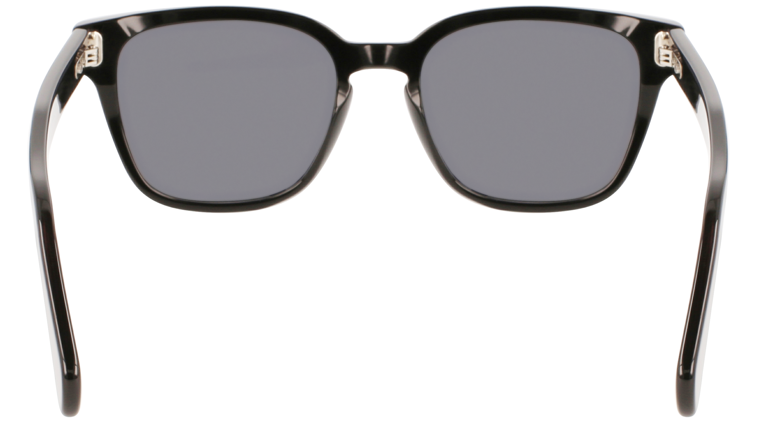 FERRAGAMO Sunglasses SF1040S 1 55