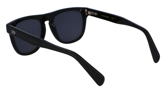 FERRAGAMO Sunglasses SF1111S 1 55