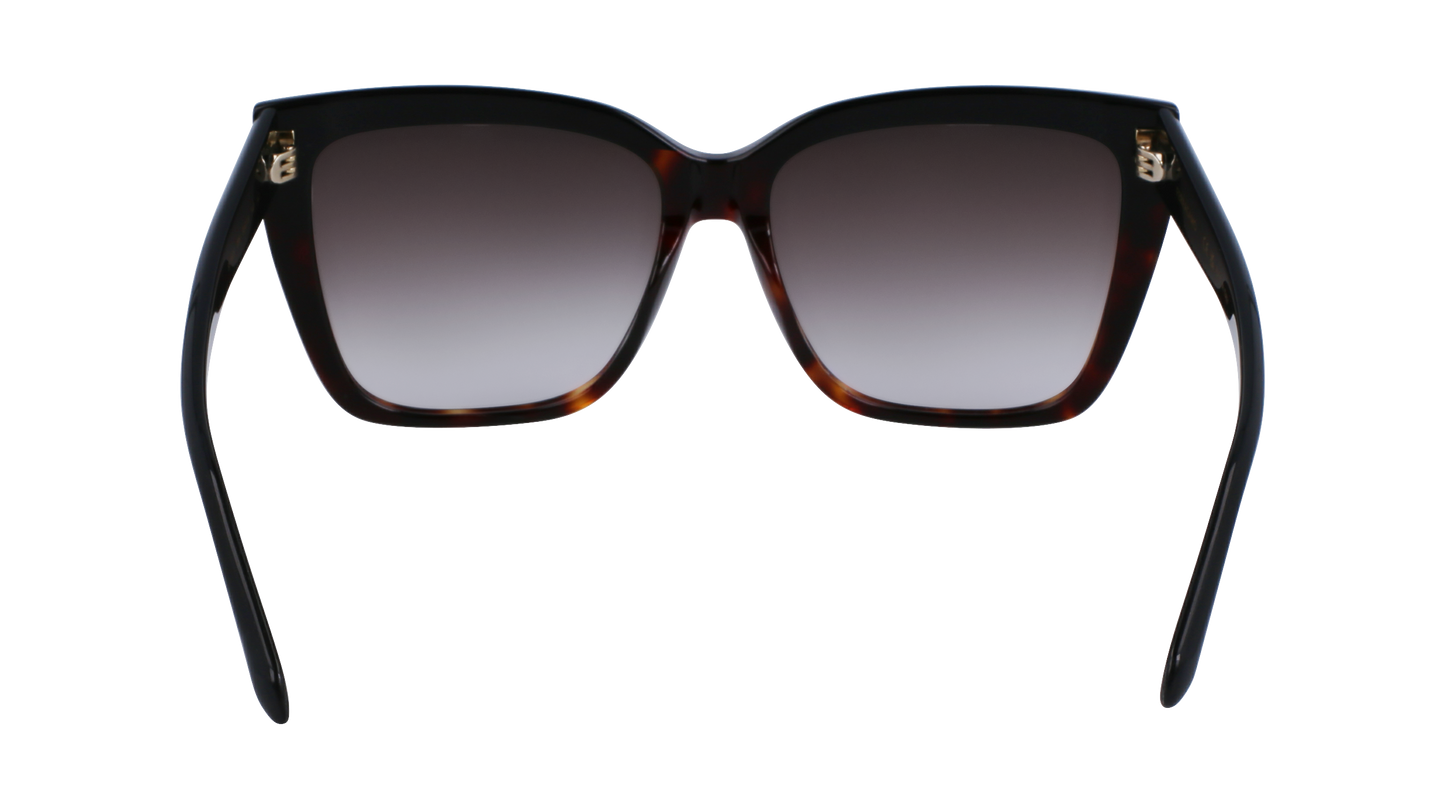 FERRAGAMO Sunglasses SF1102S 6 58