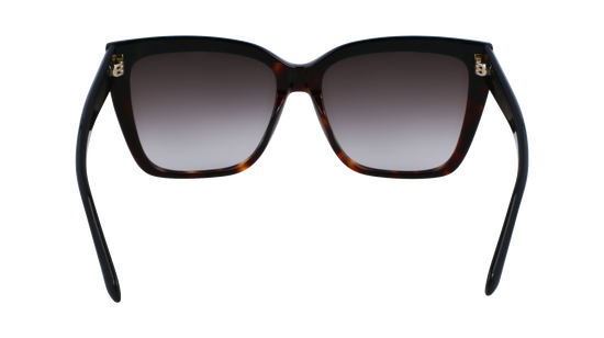 FERRAGAMO Sunglasses SF1102S 6 58