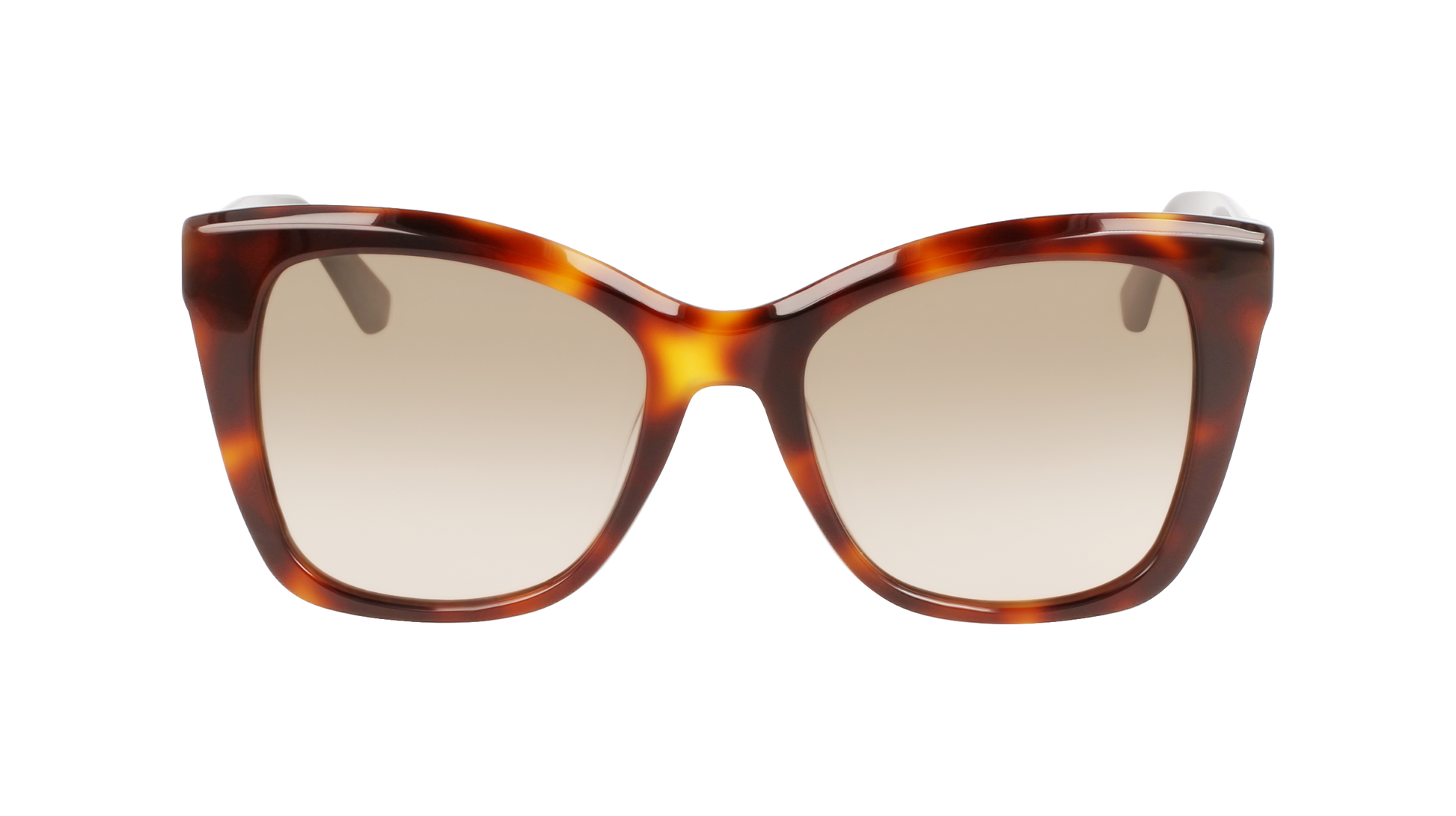 CALVIN KLEIN Sunglasses CK22530S 220 53