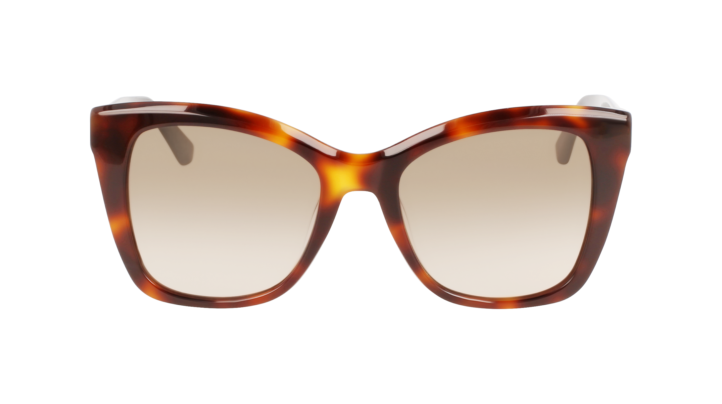 CALVIN KLEIN Sunglasses CK22530S 220 53