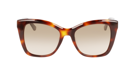 CALVIN KLEIN Sunglasses CK22530S 220 53