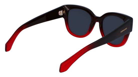 FERRAGAMO Sunglasses SF2007S 615 51