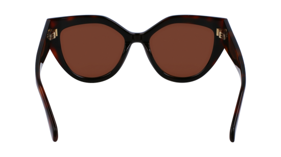 FERRAGAMO Sunglasses SF2004S 241 53