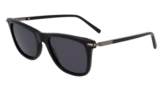 FERRAGAMO Sunglasses SF2028S 1 54