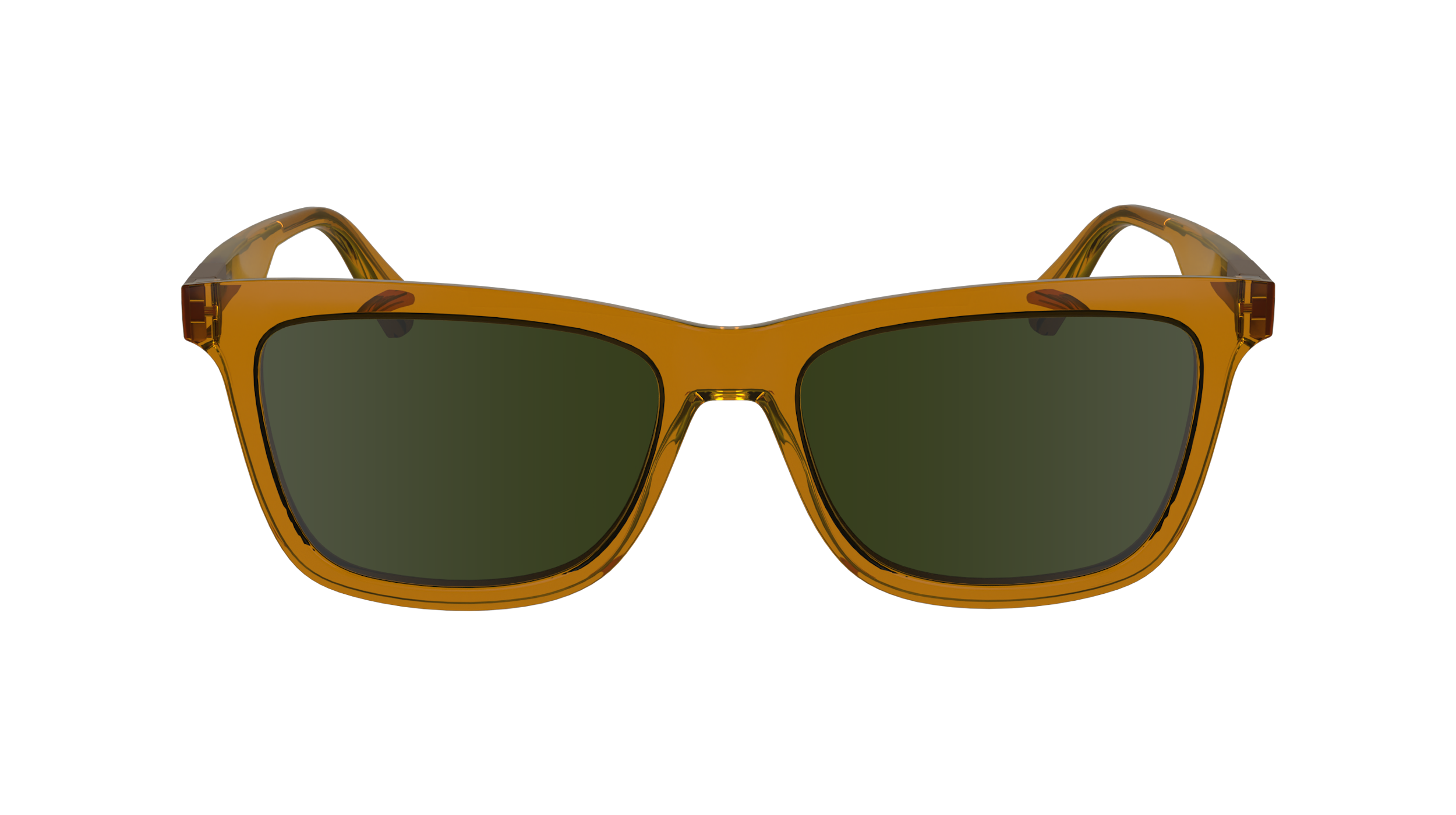 Calvin Klein Jeans CKJ24601S N 261