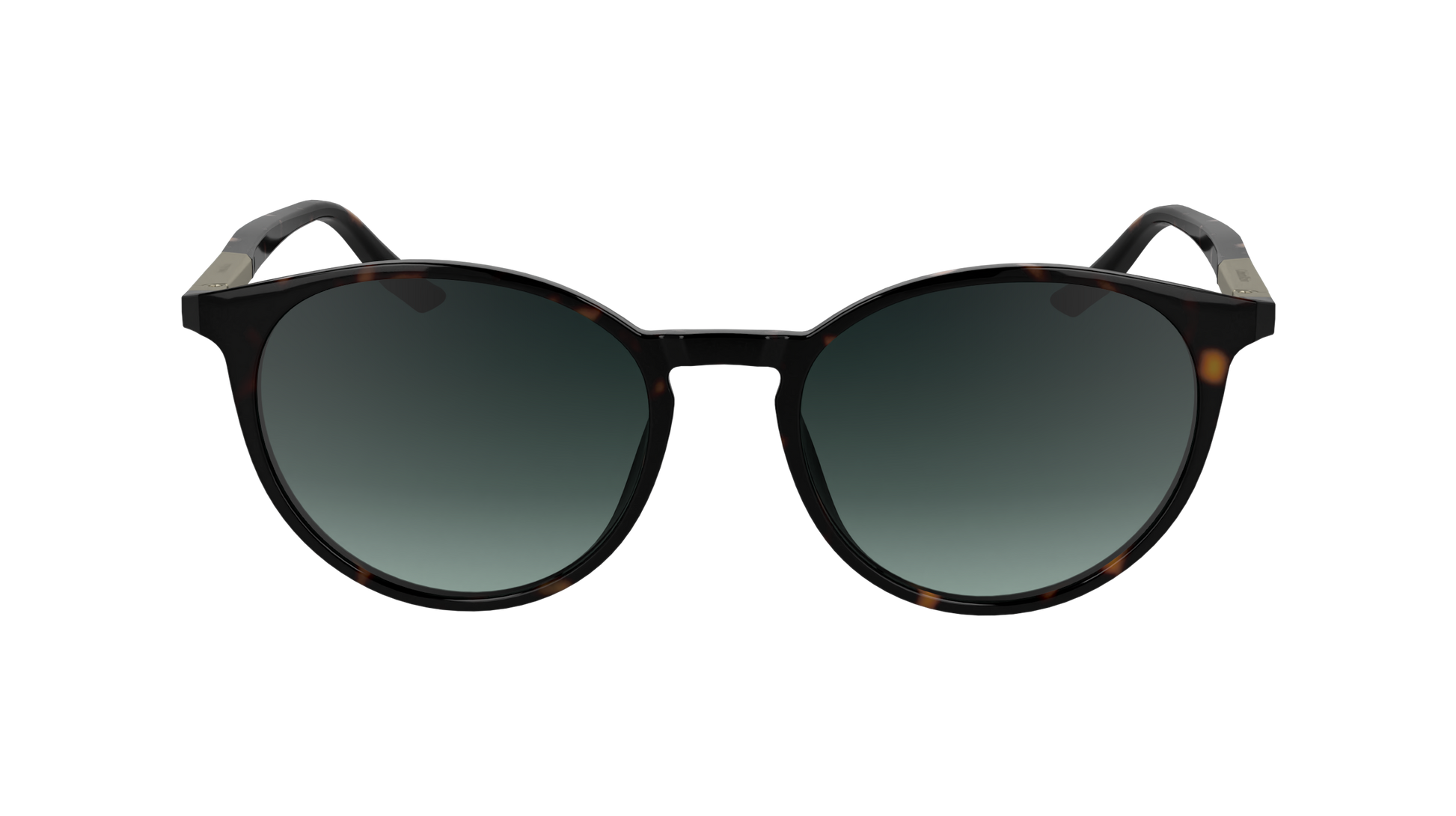 CALVIN KLEIN Sunglasses CK24539S 235 53