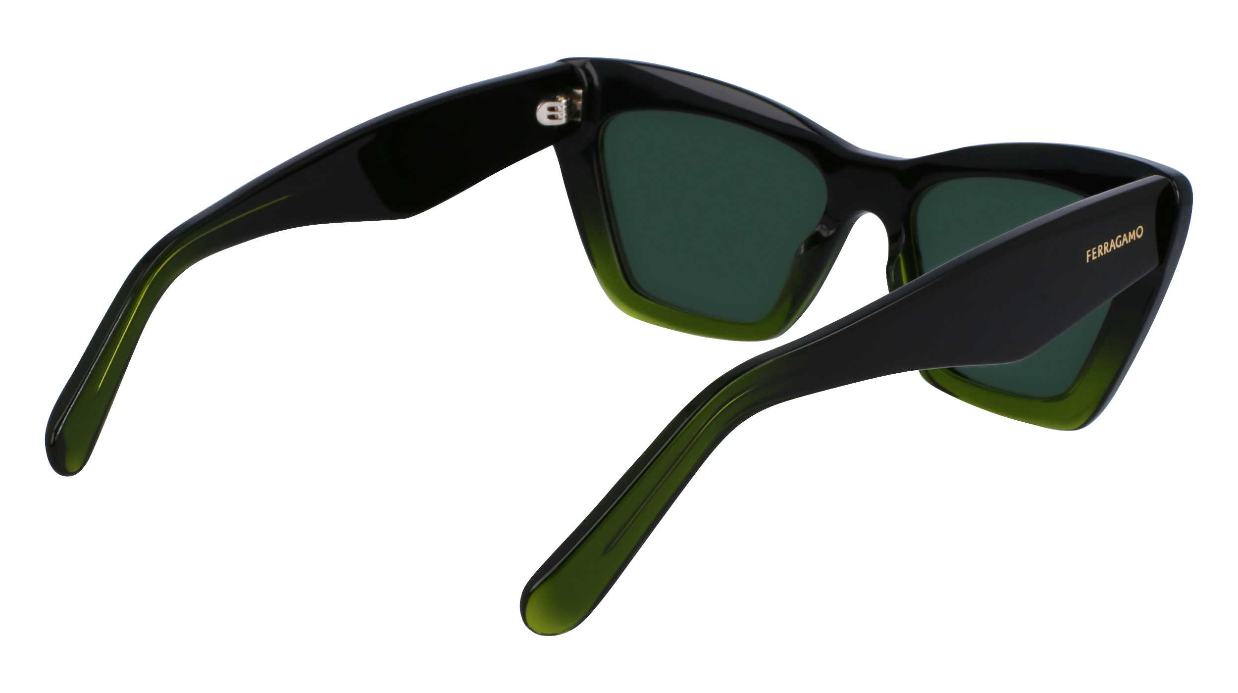 FERRAGAMO Sunglasses SF929SN 316 55