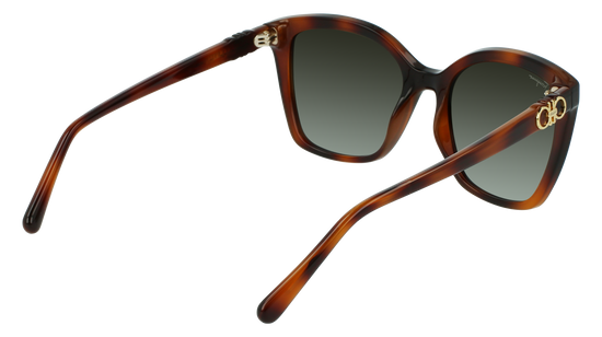 FERRAGAMO Sunglasses SF1026S 214 54