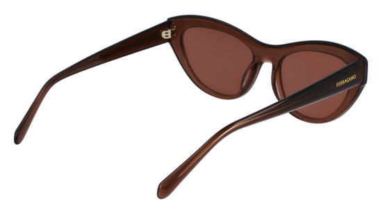 FERRAGAMO Sunglasses SF1103S 232 55