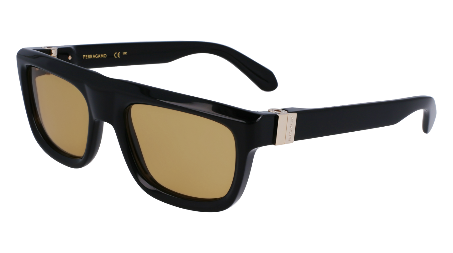 FERRAGAMO Sunglasses SF2009S 11 56