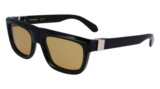 FERRAGAMO Sunglasses SF2009S 11 56