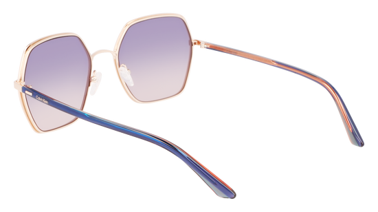 CALVIN KLEIN Sunglasses CK21131S 438 56