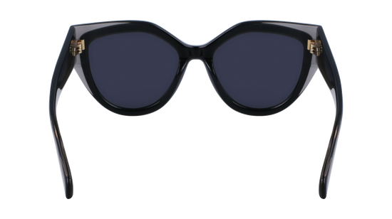 FERRAGAMO Sunglasses SF2004S 24 53