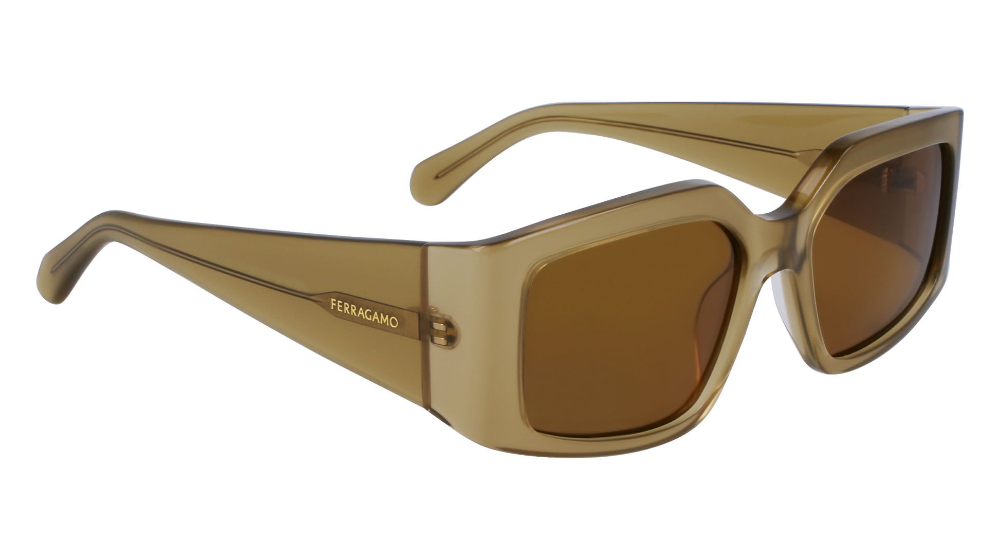 FERRAGAMO Sunglasses SF1101S 330 54