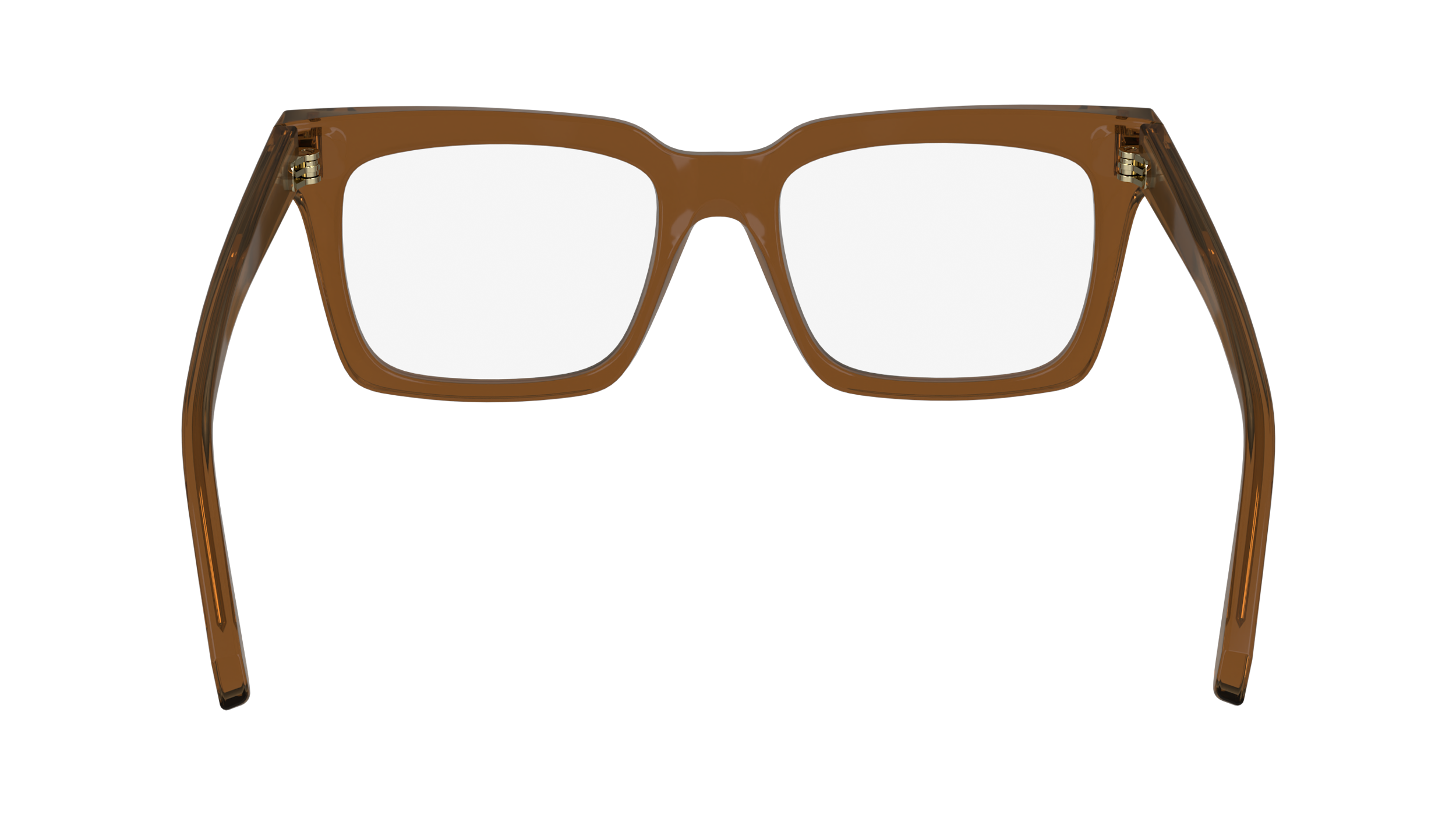 FERRAGAMO Eyeglasses SF2993 232 53