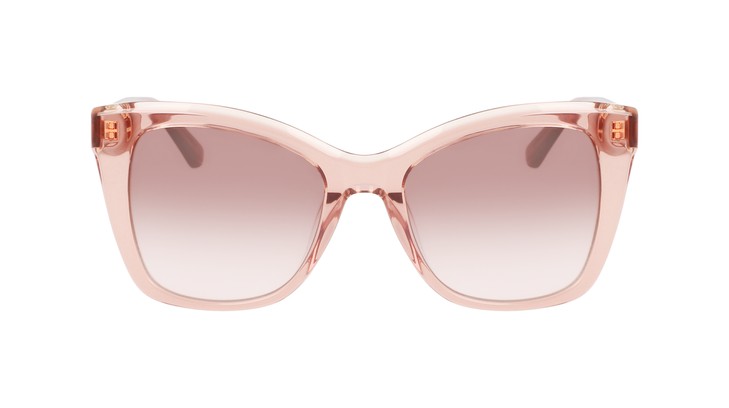 CALVIN KLEIN Sunglasses CK22530S 601 53