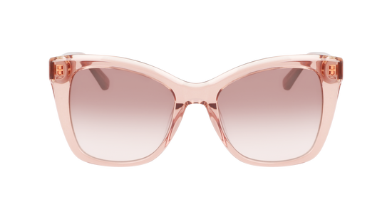 CALVIN KLEIN Sunglasses CK22530S 601 53