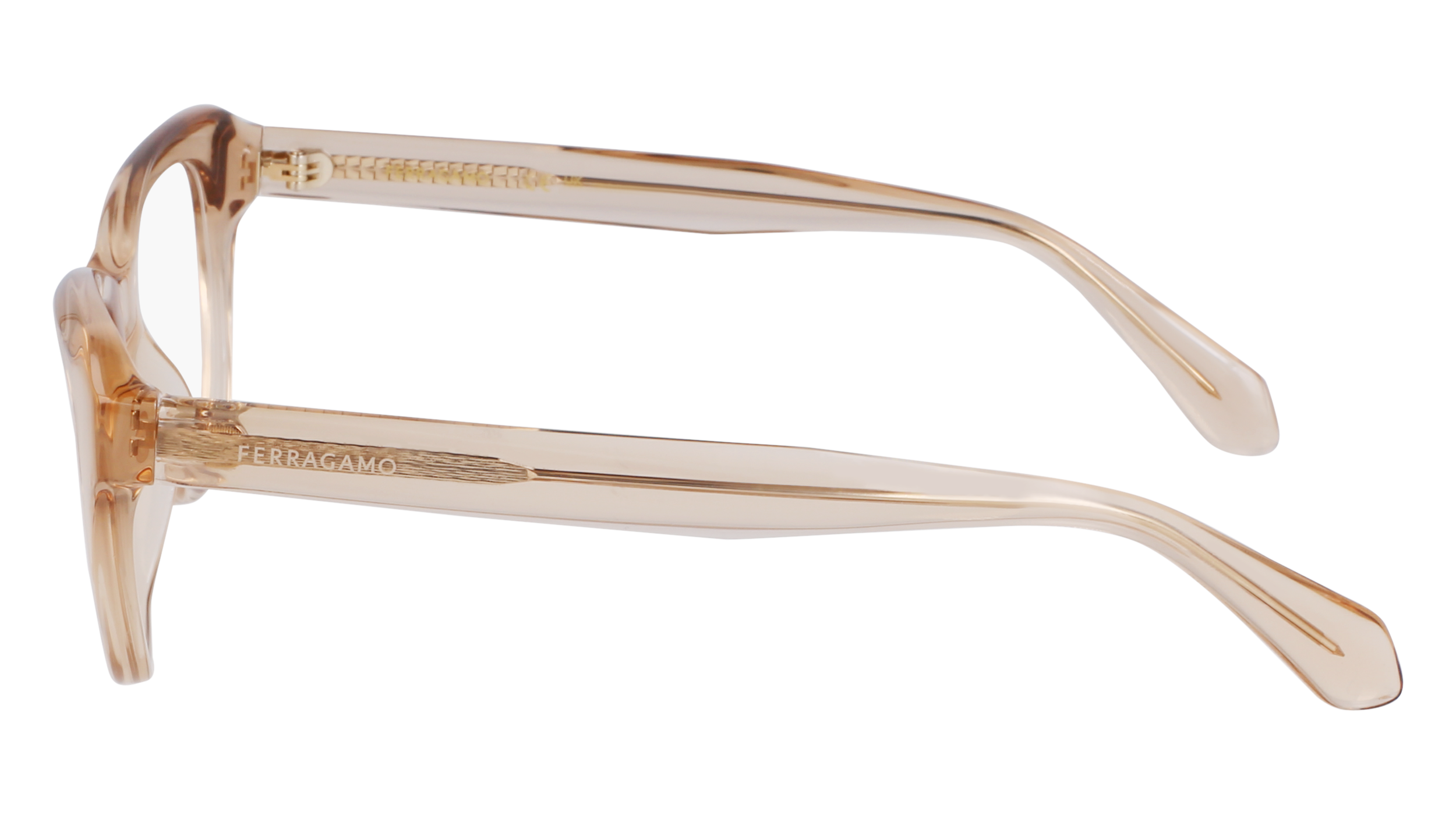 FERRAGAMO Eyeglasses SF2989E 259 51