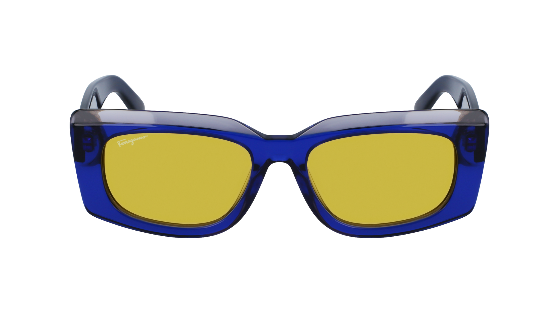 FERRAGAMO Sunglasses SF1079S 435 54