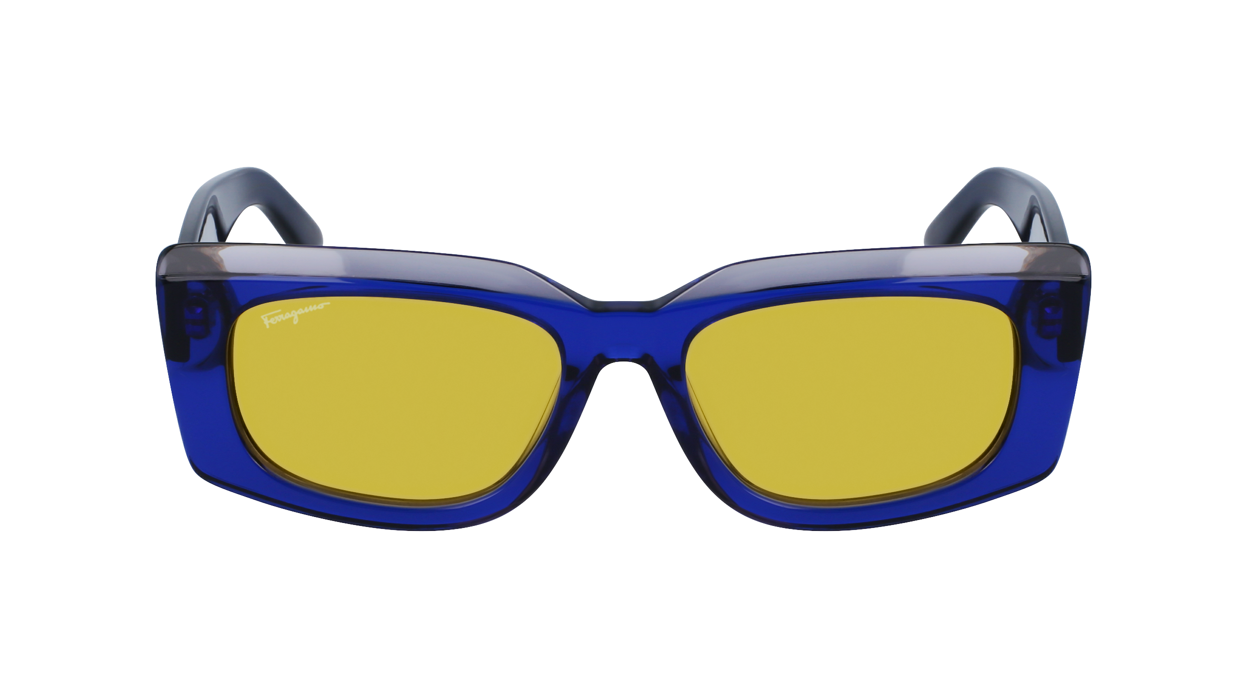 FERRAGAMO Sunglasses SF1079S 435 54