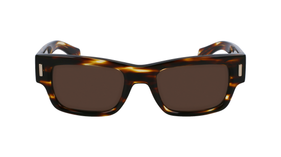 FERRAGAMO Sunglasses SF2011S 216 53