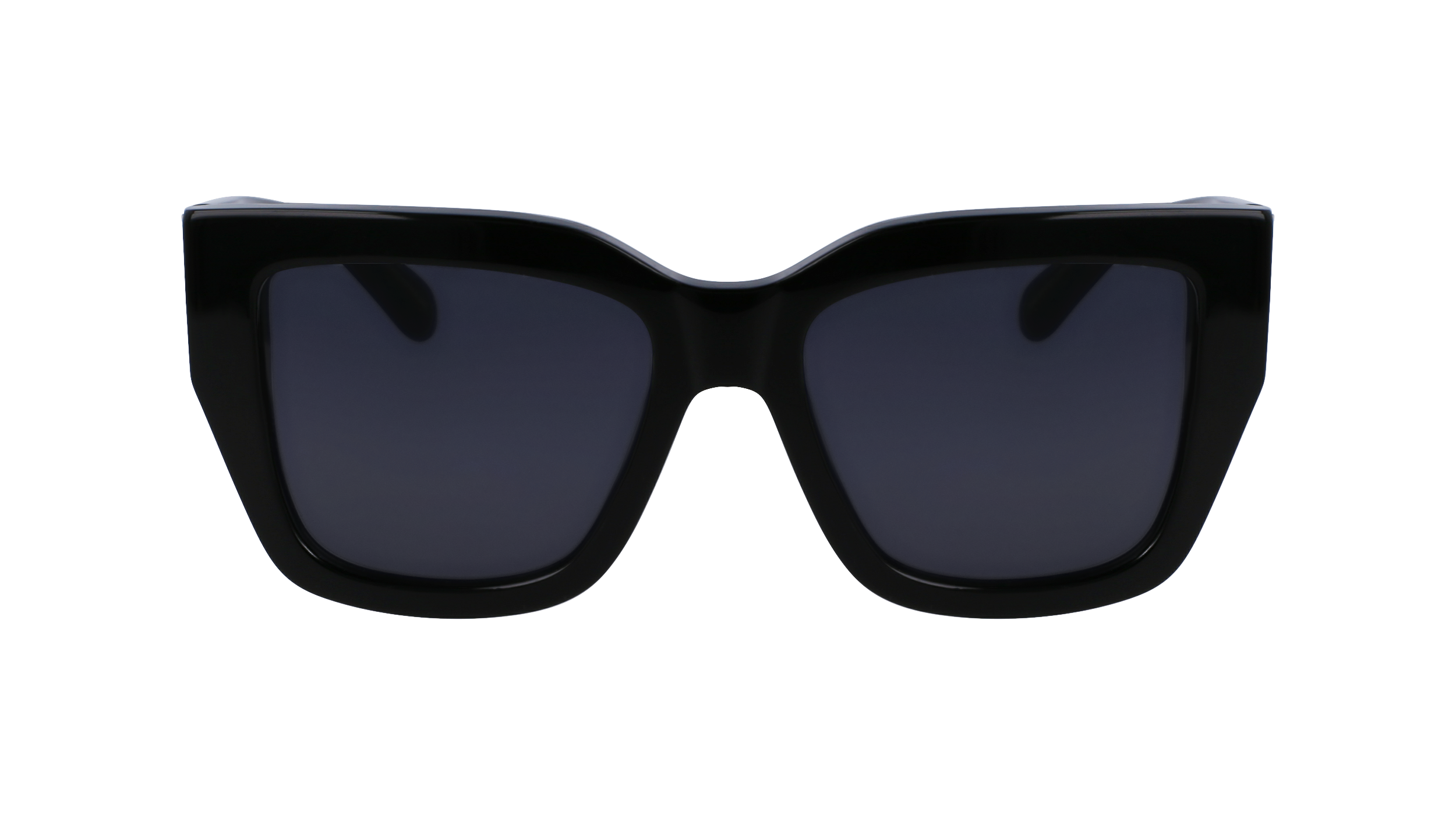 FERRAGAMO Sunglasses SF1104S 1 55