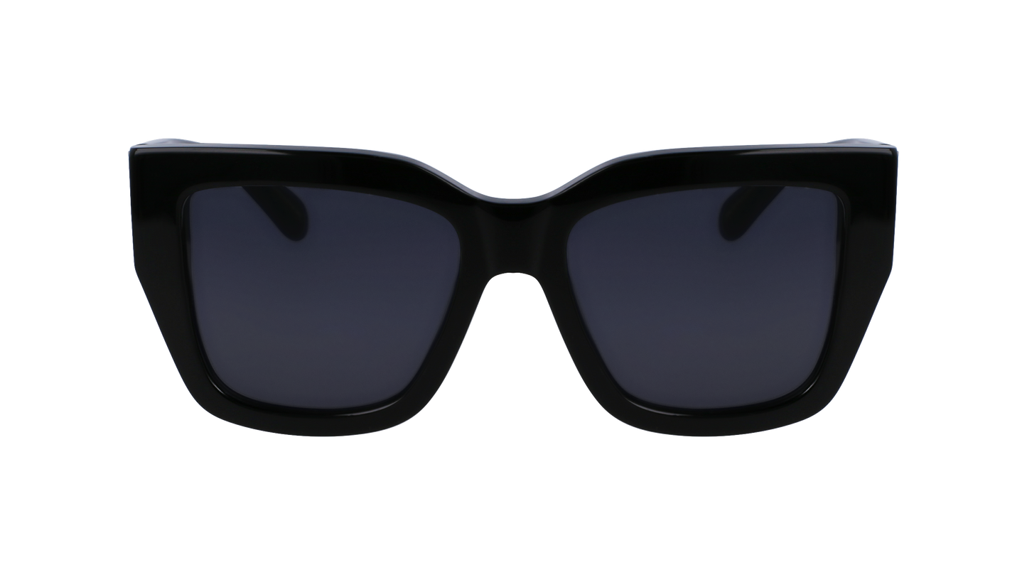 FERRAGAMO Sunglasses SF1104S 1 55