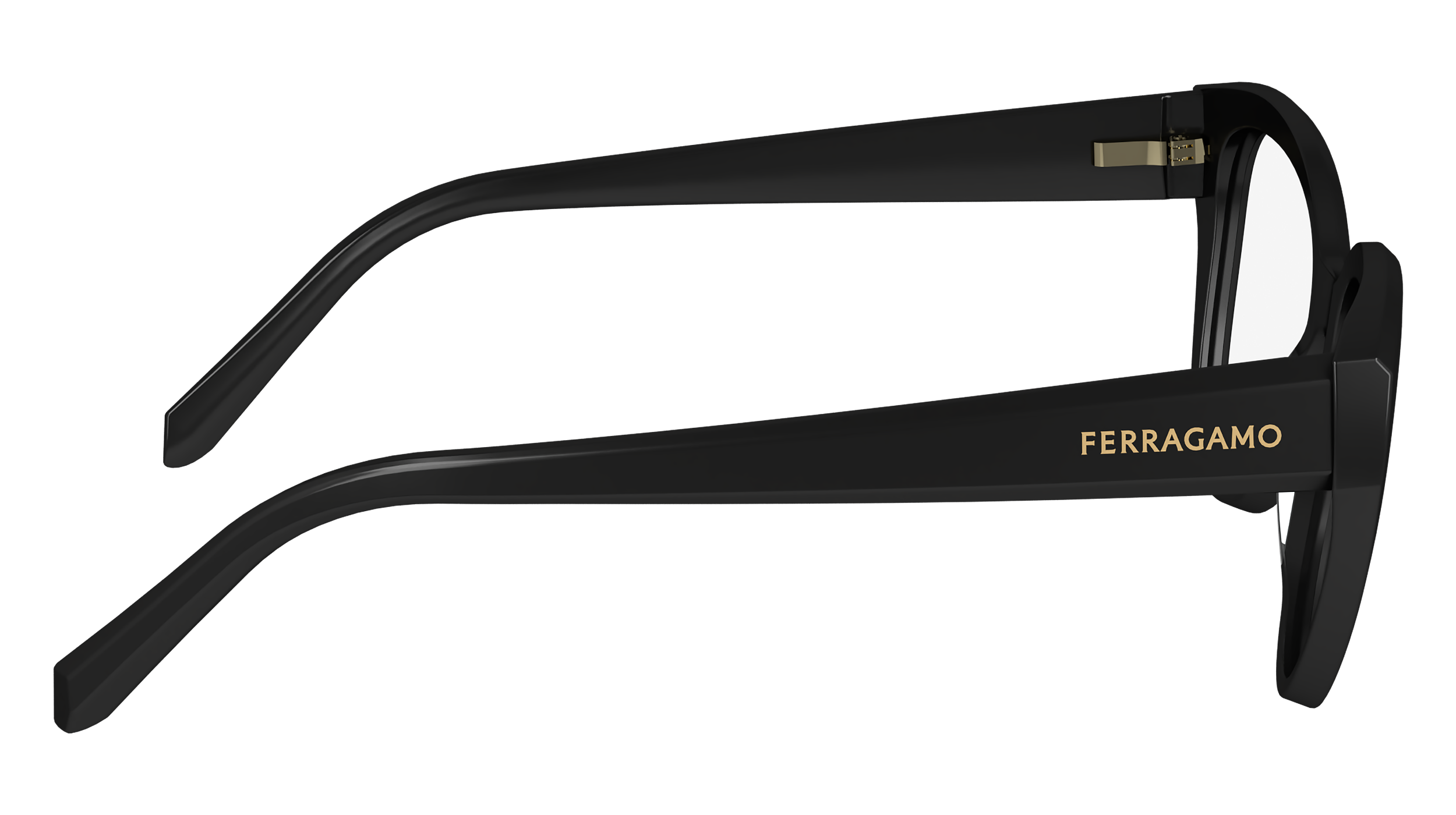 FERRAGAMO Eyeglasses SF2970 1 53