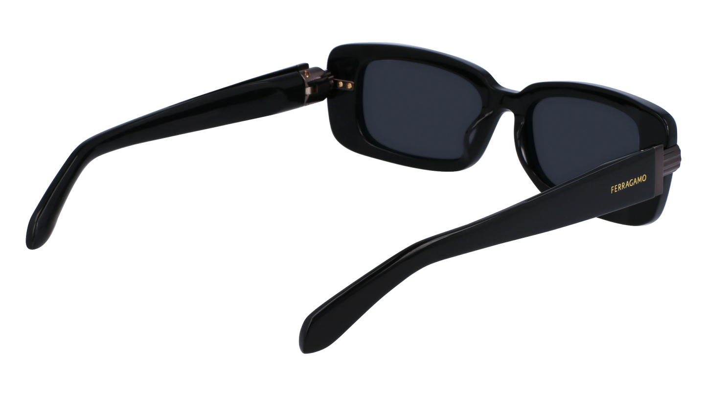 FERRAGAMO Sunglasses SF1105S 1 52