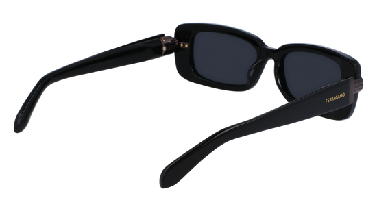 FERRAGAMO Sunglasses SF1105S 1 52