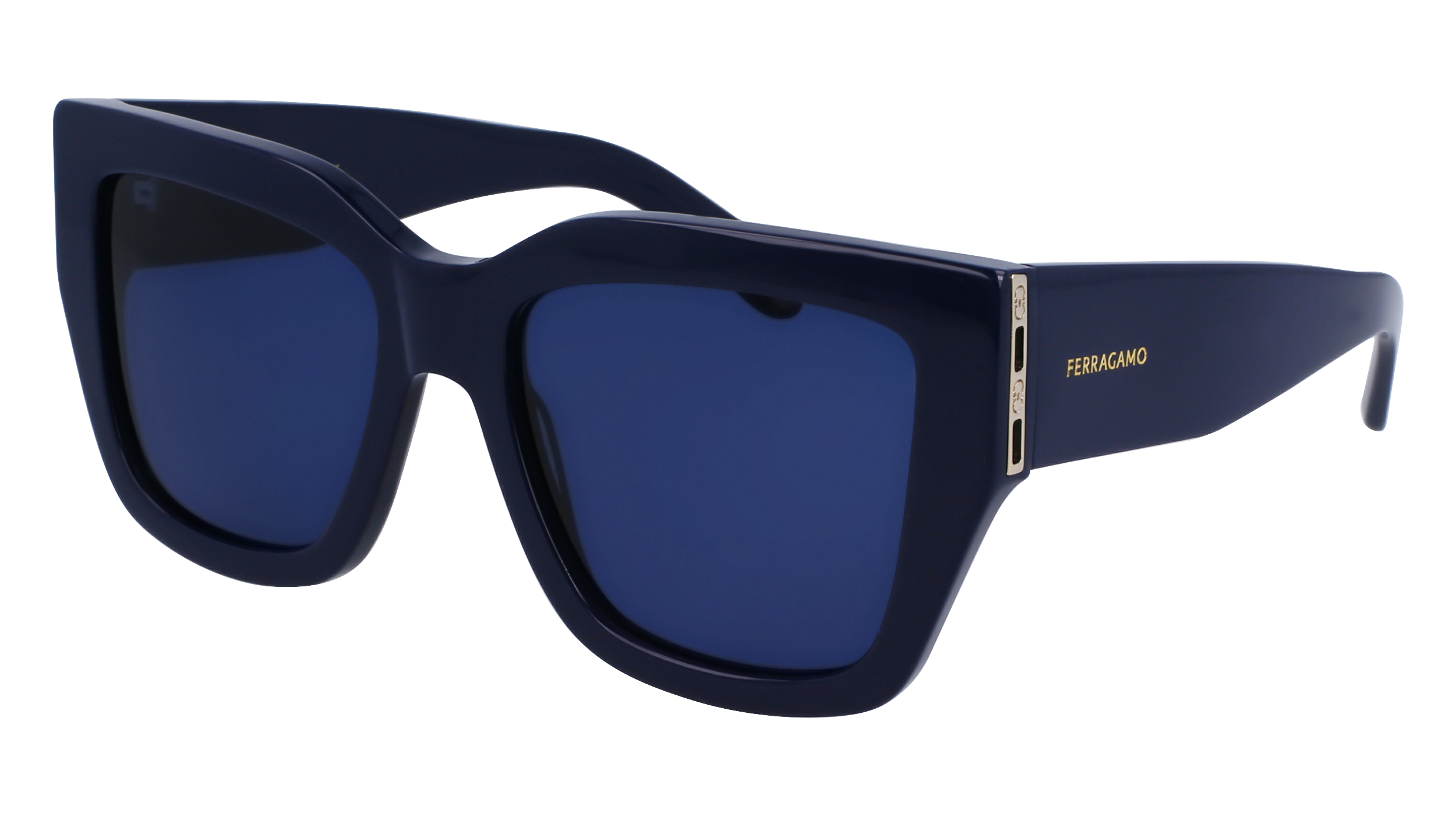 FERRAGAMO Sunglasses SF1104S 414 55