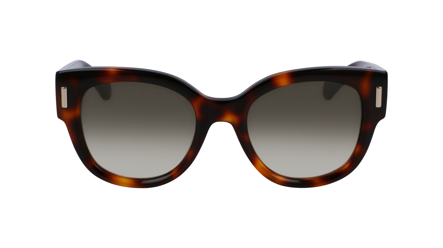 FERRAGAMO Sunglasses SF2007S 240 51