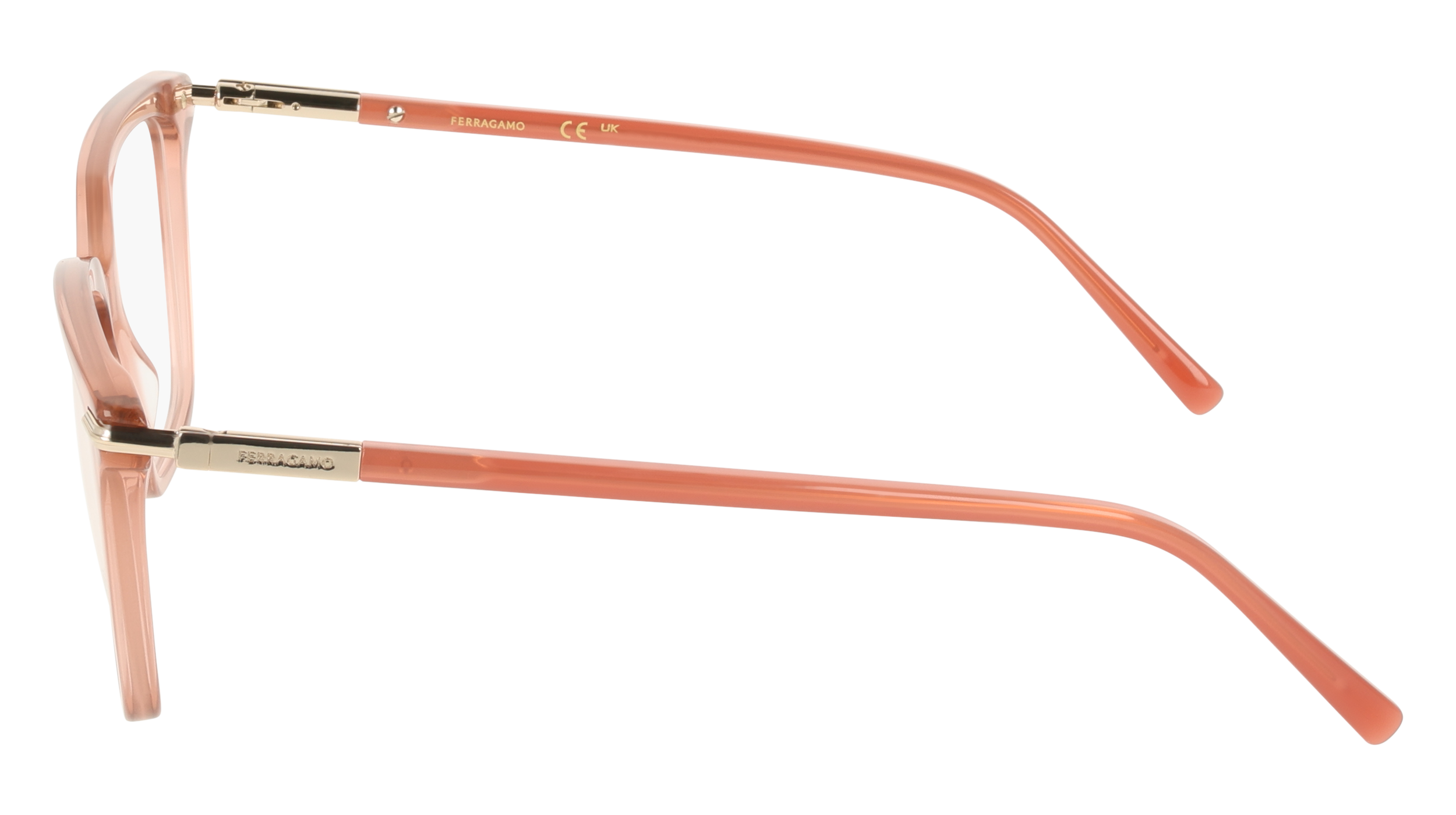 Ferragamo SF3038 667