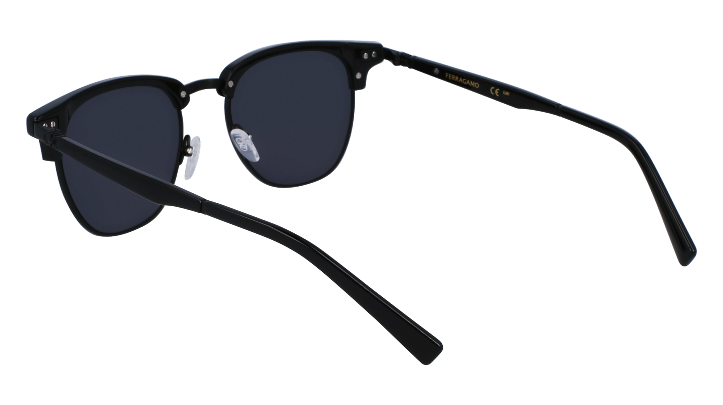 FERRAGAMO Sunglasses SF307S 1 53