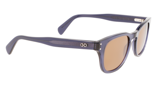 FERRAGAMO Sunglasses SF1057S 456 49