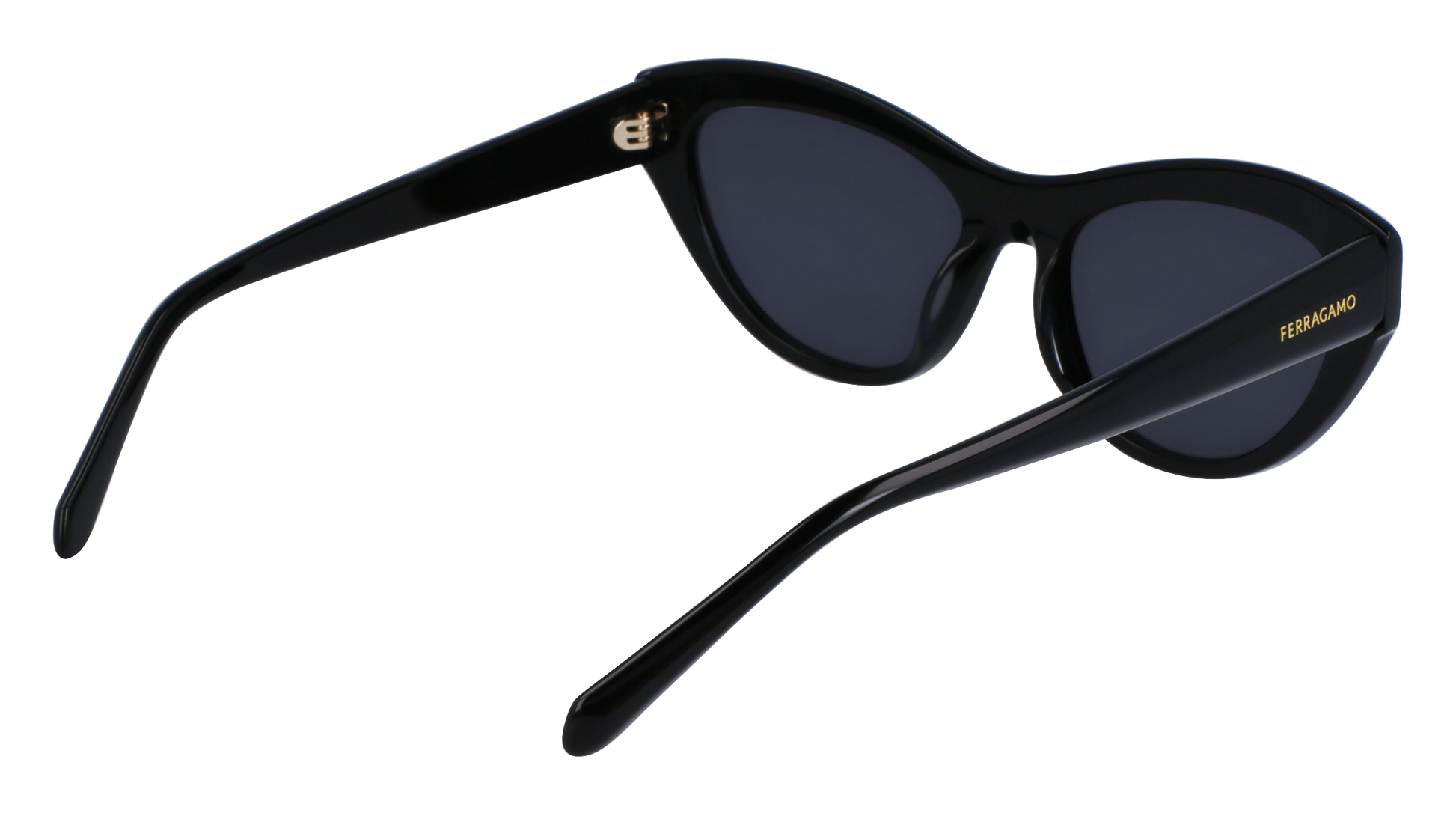 FERRAGAMO Sunglasses SF1103S 1 55
