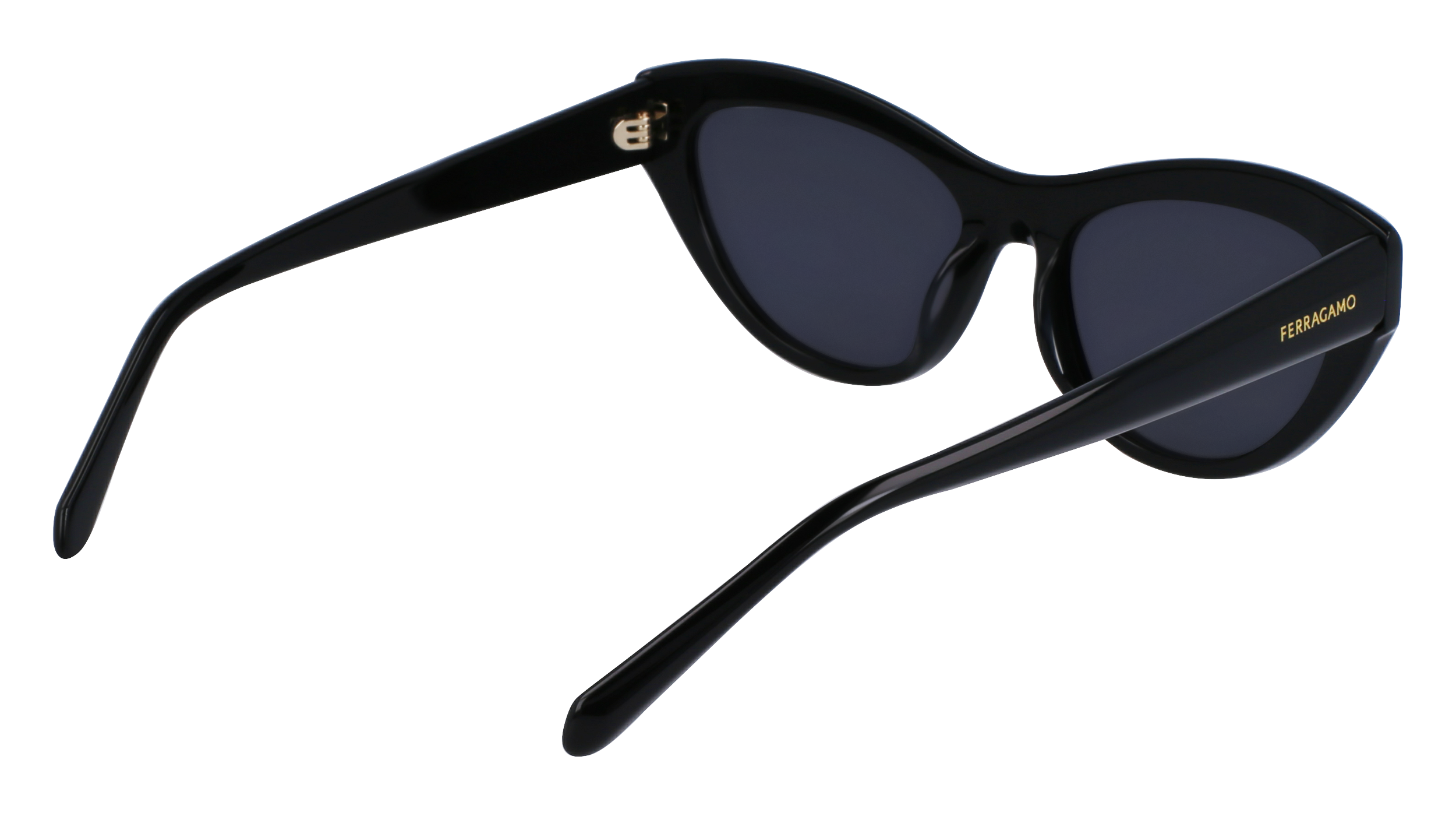 FERRAGAMO Sunglasses SF1103S 1 55