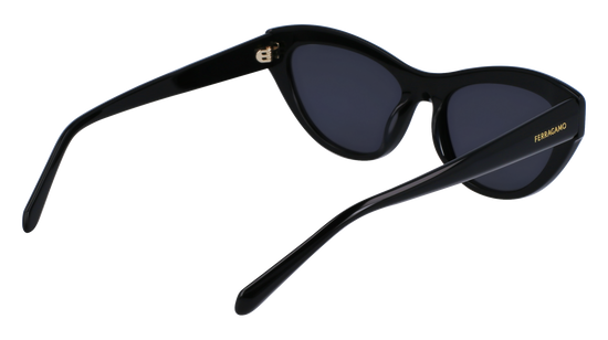 FERRAGAMO Sunglasses SF1103S 1 55