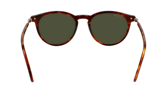 LACOSTE Sunglasses L6034S 218 51