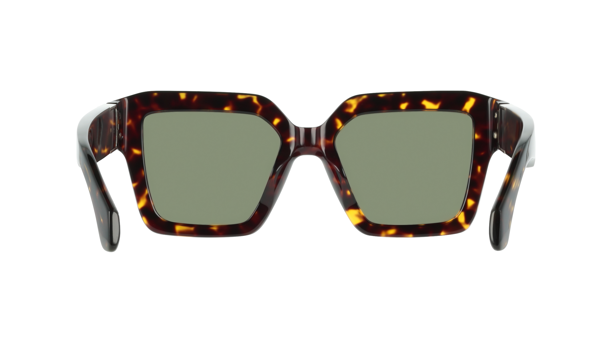 Ferragamo SF2084S 242