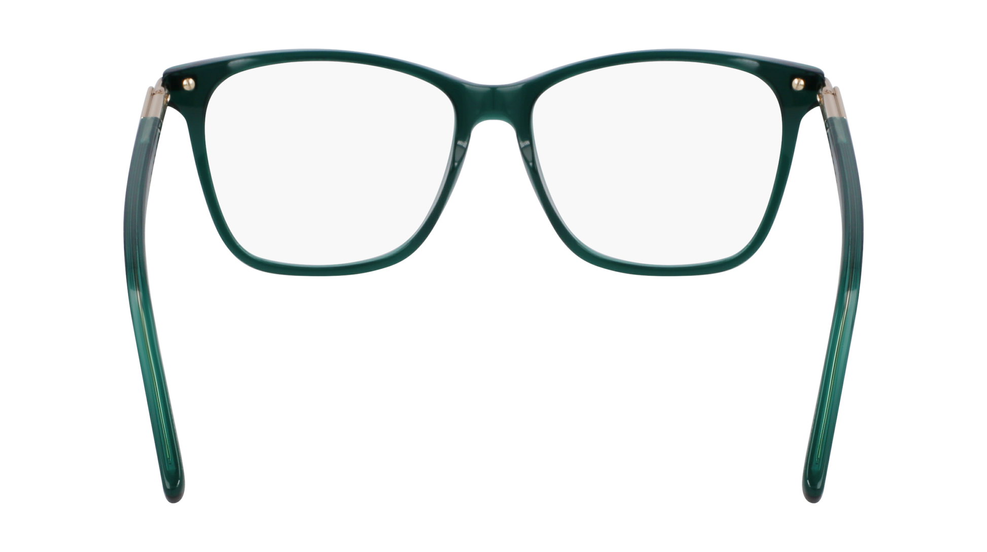 FERRAGAMO Eyeglasses SF3013 317 53