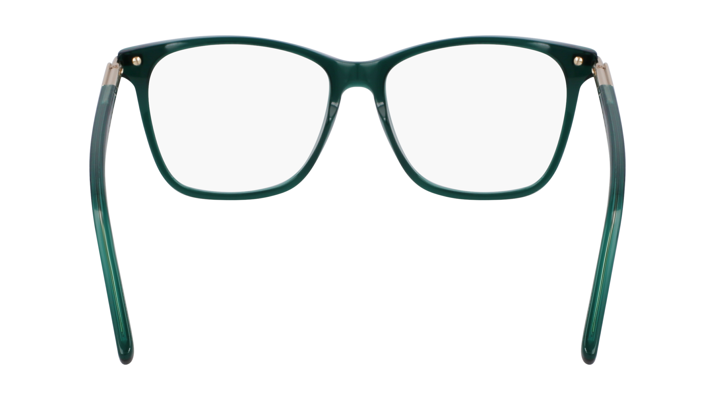 FERRAGAMO Eyeglasses SF3013 317 53