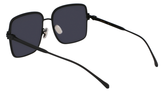 FERRAGAMO Sunglasses SF317S 2 57