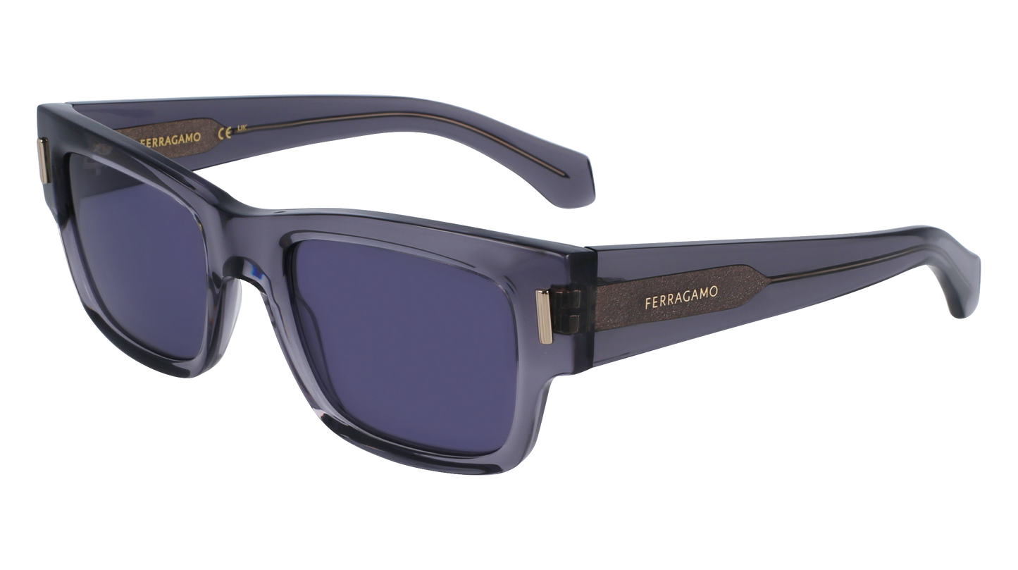 FERRAGAMO Sunglasses SF2011S 20 53