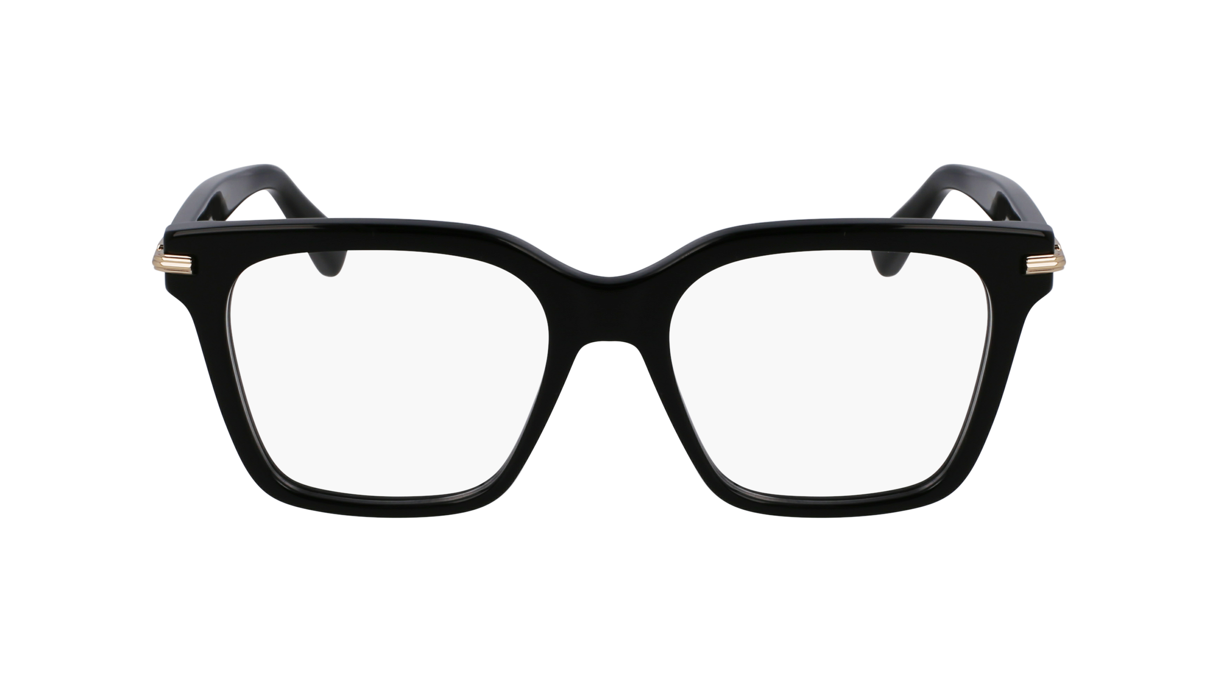 FERRAGAMO Eyeglasses SF3009 1 52