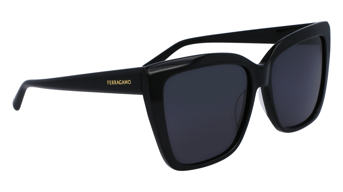 FERRAGAMO Sunglasses SF1102S 1 58